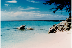 Anuha Island