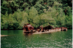 Anuha Island